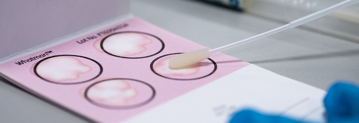 Find The Agent: FTA cards